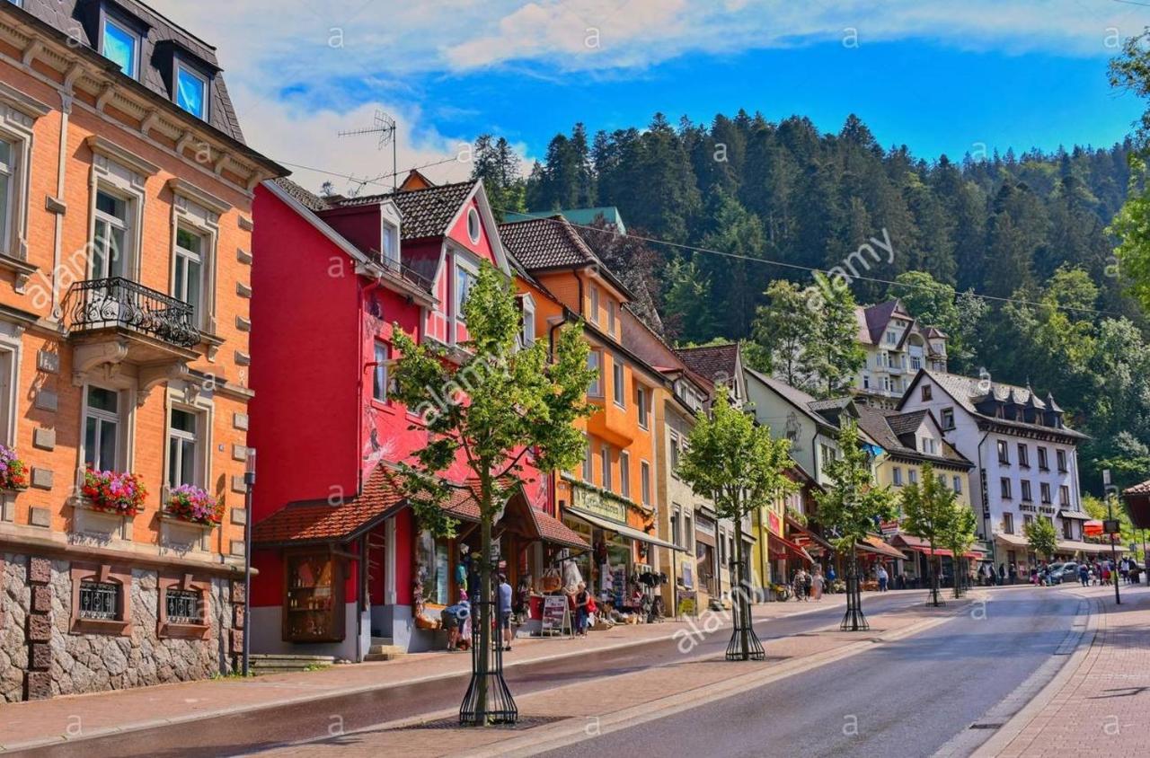 Dm Apartment Triberg im Schwarzwald Exterior photo